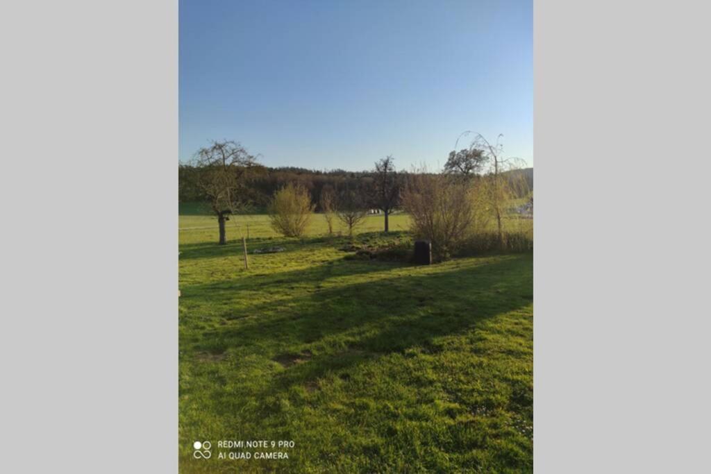 Schoene Helle Ferienwohnung In Waldnaehe Берхинг Екстериор снимка