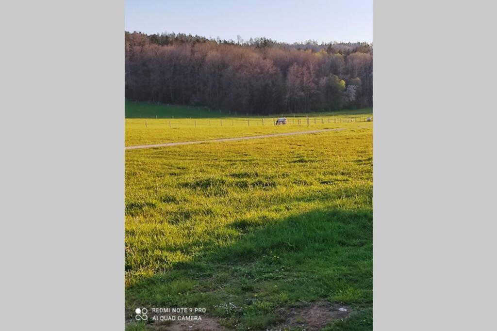 Schoene Helle Ferienwohnung In Waldnaehe Берхинг Екстериор снимка